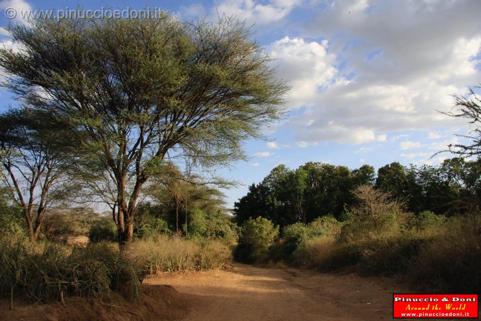 Ethiopia - 826.jpg